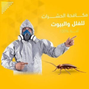 رش بق الفراش في العين 0556115019